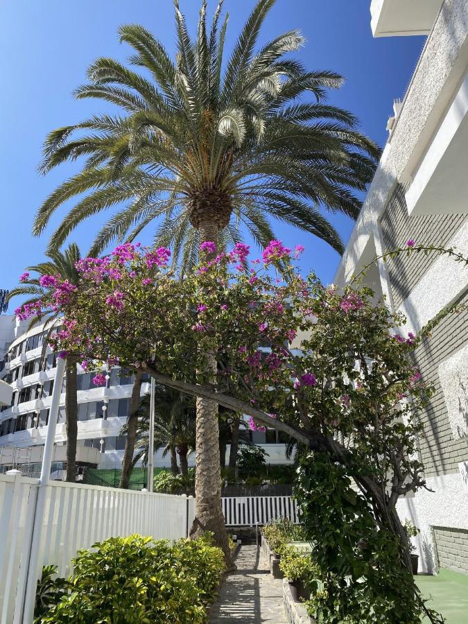 Oasis Playa Maspalomas Maspalomas  Buitenkant foto