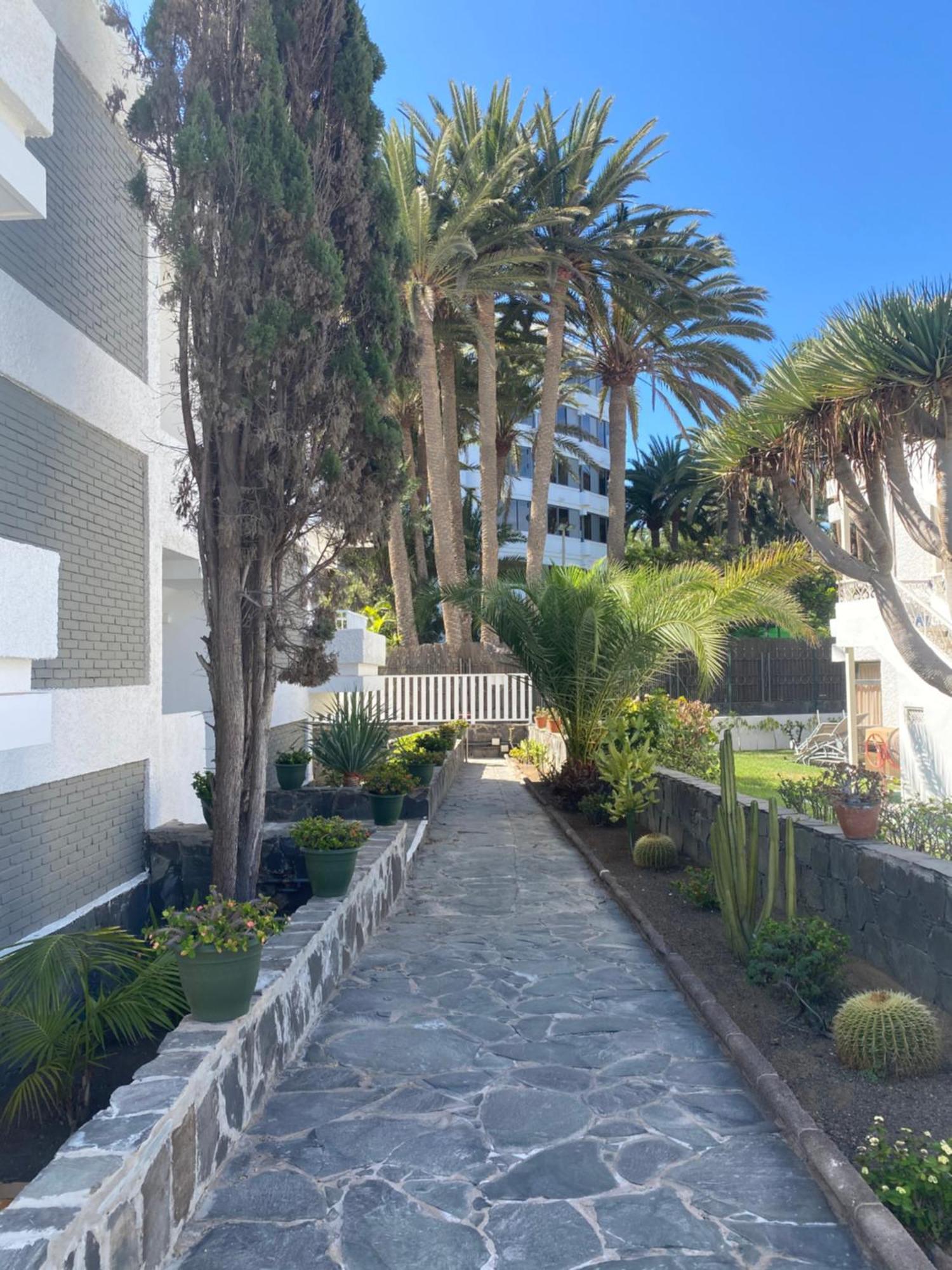 Oasis Playa Maspalomas Maspalomas  Buitenkant foto