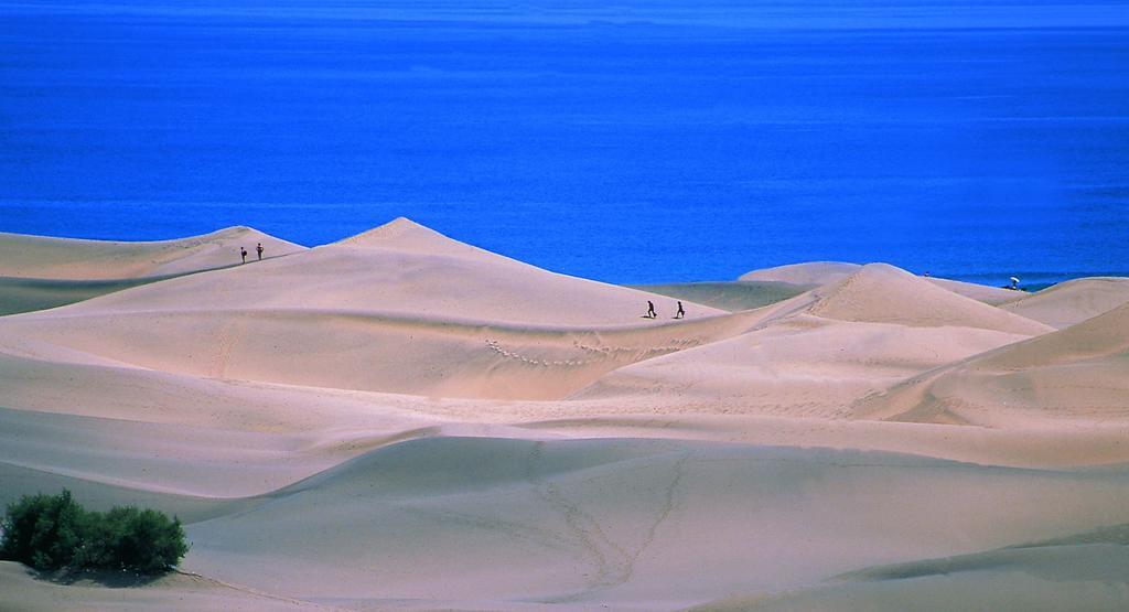 Oasis Playa Maspalomas Maspalomas  Buitenkant foto